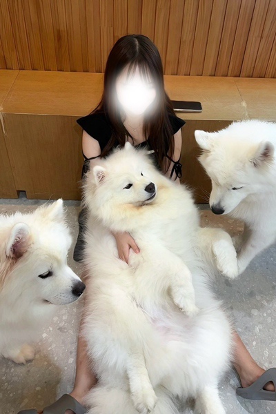 九条るの